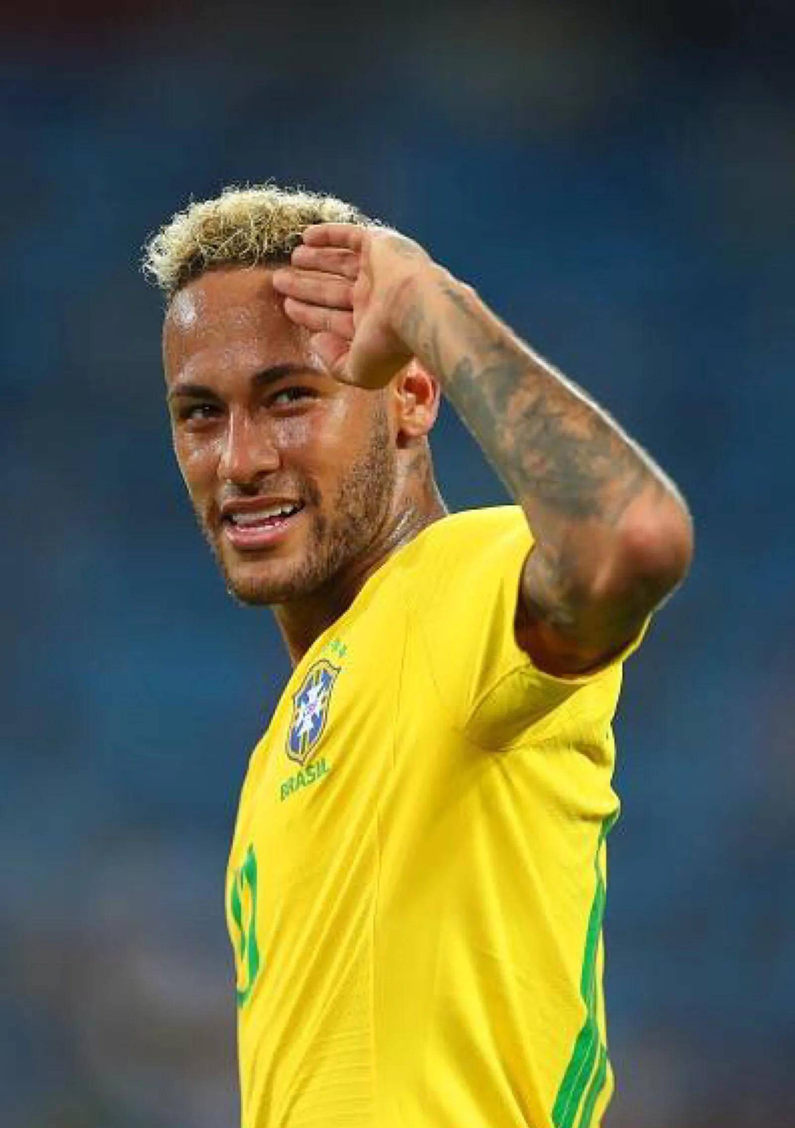 奠定了信心 奠定了信心