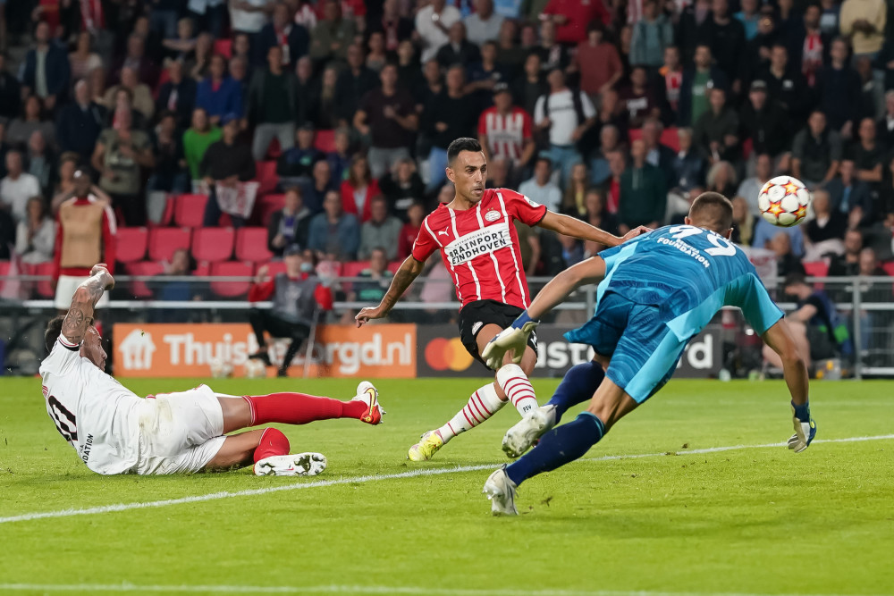 这种独特的 这种独特的